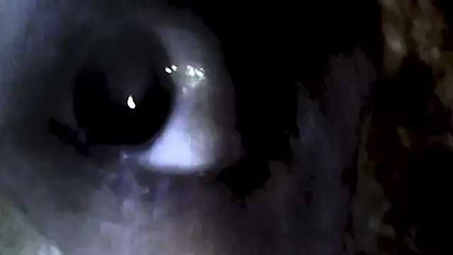 Vandaaethusa online show from April 16, 4:50 pm