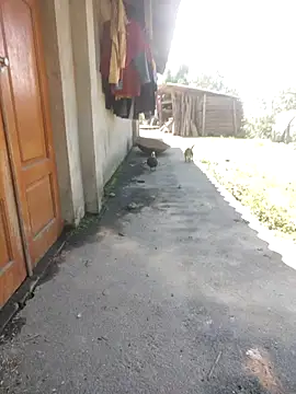 babyboo91 online show from May 13, 6:52 am