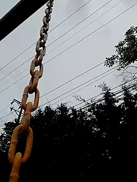 saray outdoorss online show from May 16, 3:33 pm