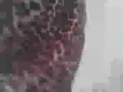 cutelyyyx online show from June 29, 7:37 am