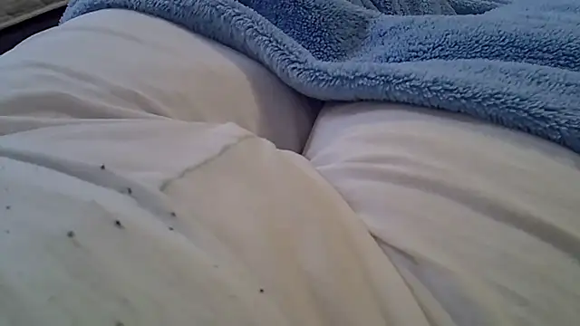 perescam online show from March 25, 6:55 pm