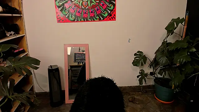 handipandapok online show from September 18, 12:31 am