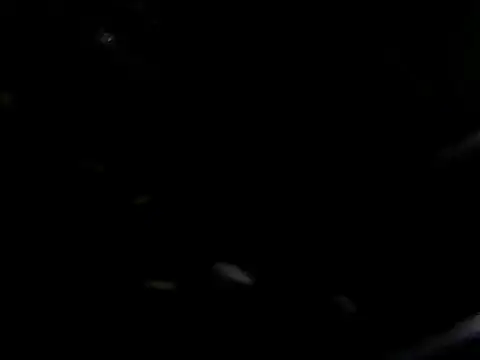 giga-bite online show from October 10, 3:39 pm