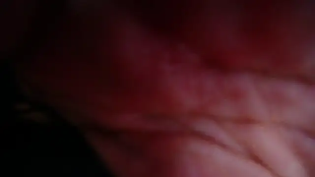 francysbigcock online show from February 24, 12:15 pm