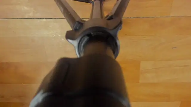 Angel Avni online show from April 1, 1:52 pm