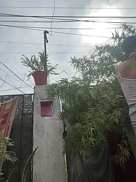 Alicbranca online show from March 28, 2:16 pm