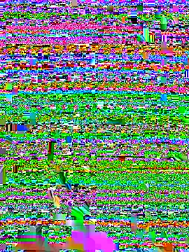   IRIS   online show from October 16, 3:36 pm