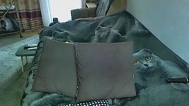 sex2 online show from October 16, 2:25 am