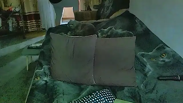 sex2 online show from March 23, 12:28 am