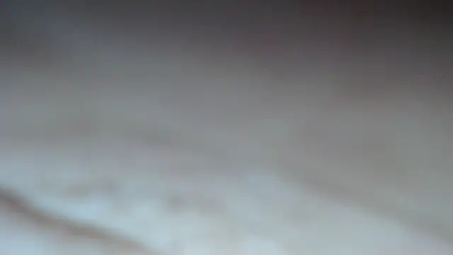 swt shadow online show from February 13, 7:37 pm