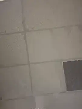 cinnatitties online show from September 10, 8:42 pm