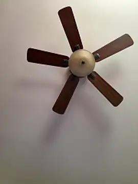 QueenNuttCollector online show from March 27, 4:40 pm