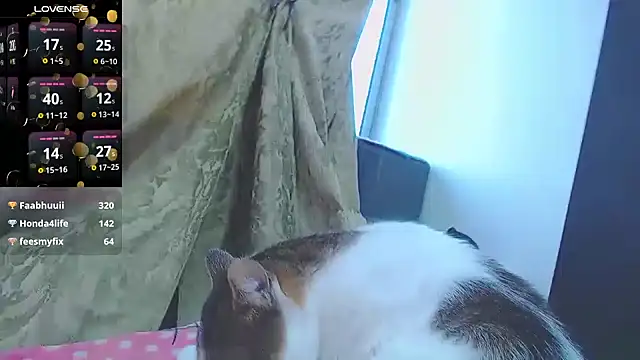 Nastymomslave online show from October 12, 7:05 pm