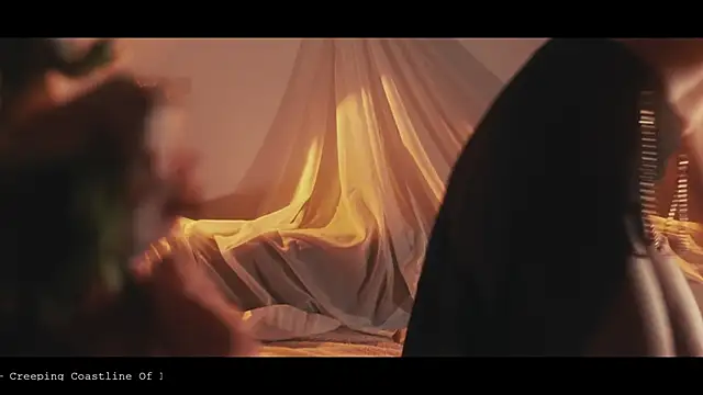 WebCora online show from April 24, 5:38 pm