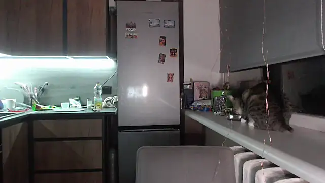 delightful sofi online show from September 28, 7:19 pm