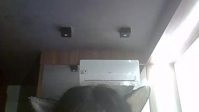 Skinny-Kitten online show from May 26, 3:06 am