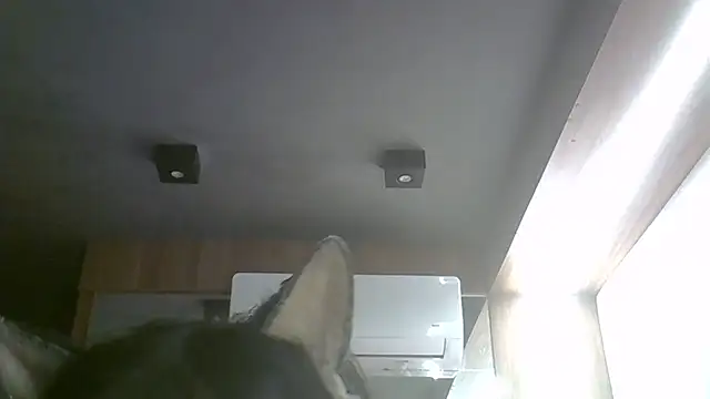 Skinny-Kitten online show from May 17, 11:09 am