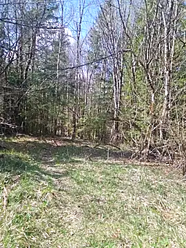 Sexy Sparkling  online show from April 17, 10:28 am