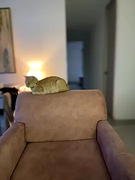 Im Valentina online show from October 6, 10:58 pm